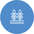 Agricola