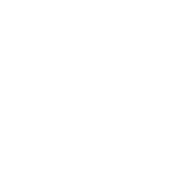 logo Axonius