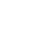logo check point