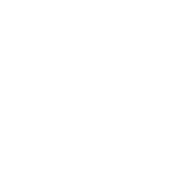 logo idira