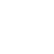 logo-rapid