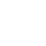 logo-rsa