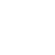 logo symantec