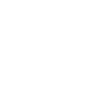 logo-vicarius